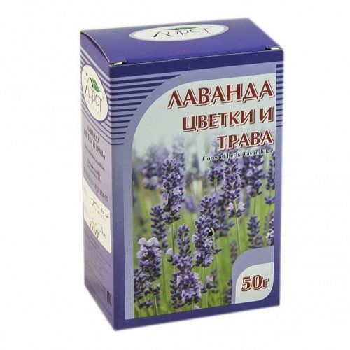 Лаванда (цветки) в Новосибирске — купите недорого по цене от 100 рублей ...