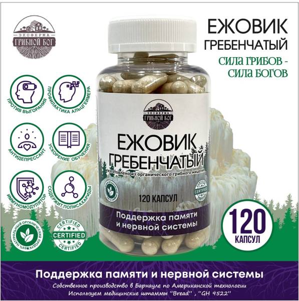Изображение товара Ежовик Гребенчатый мицелий Грибной Бог №120 Ежовик Гребенчатый мицелий Грибной Бог №120 фотография